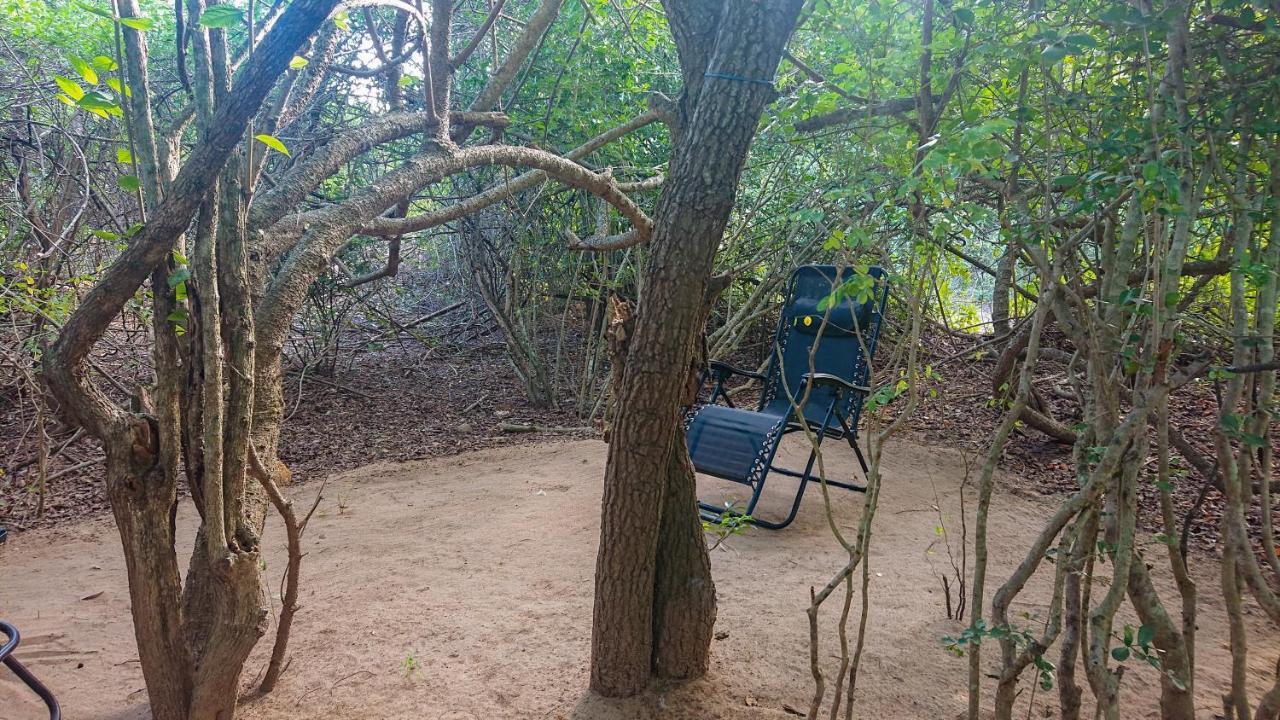 Yala Eco Bush Camp Ξενοδοχείο Εξωτερικό φωτογραφία