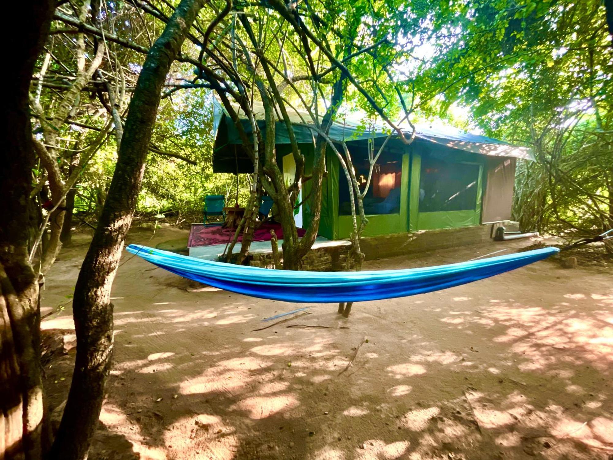 Yala Eco Bush Camp Ξενοδοχείο Εξωτερικό φωτογραφία