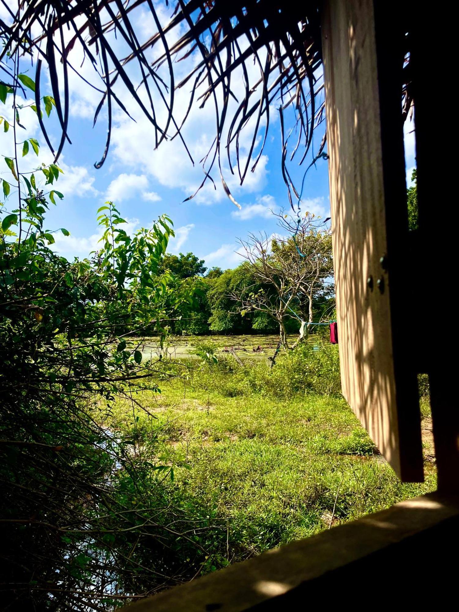 Yala Eco Bush Camp Ξενοδοχείο Εξωτερικό φωτογραφία