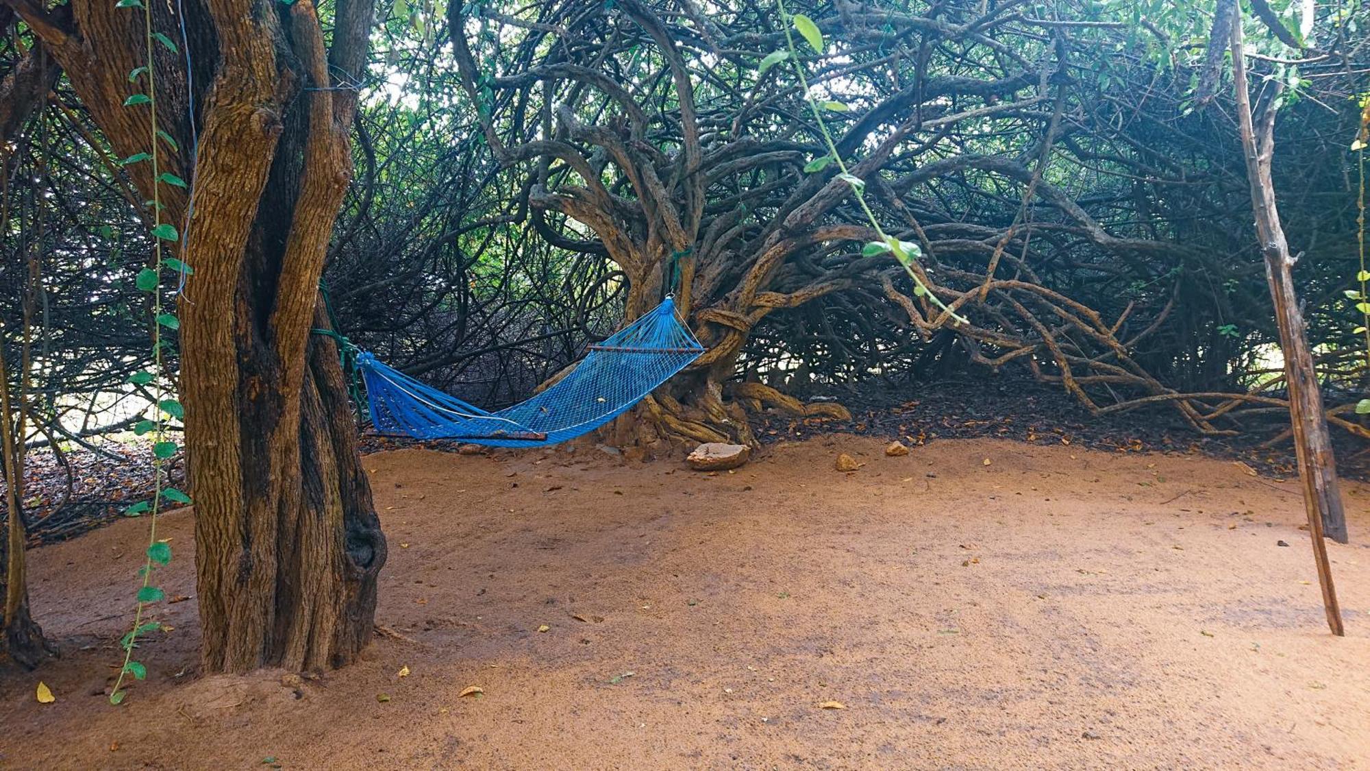 Yala Eco Bush Camp Ξενοδοχείο Εξωτερικό φωτογραφία