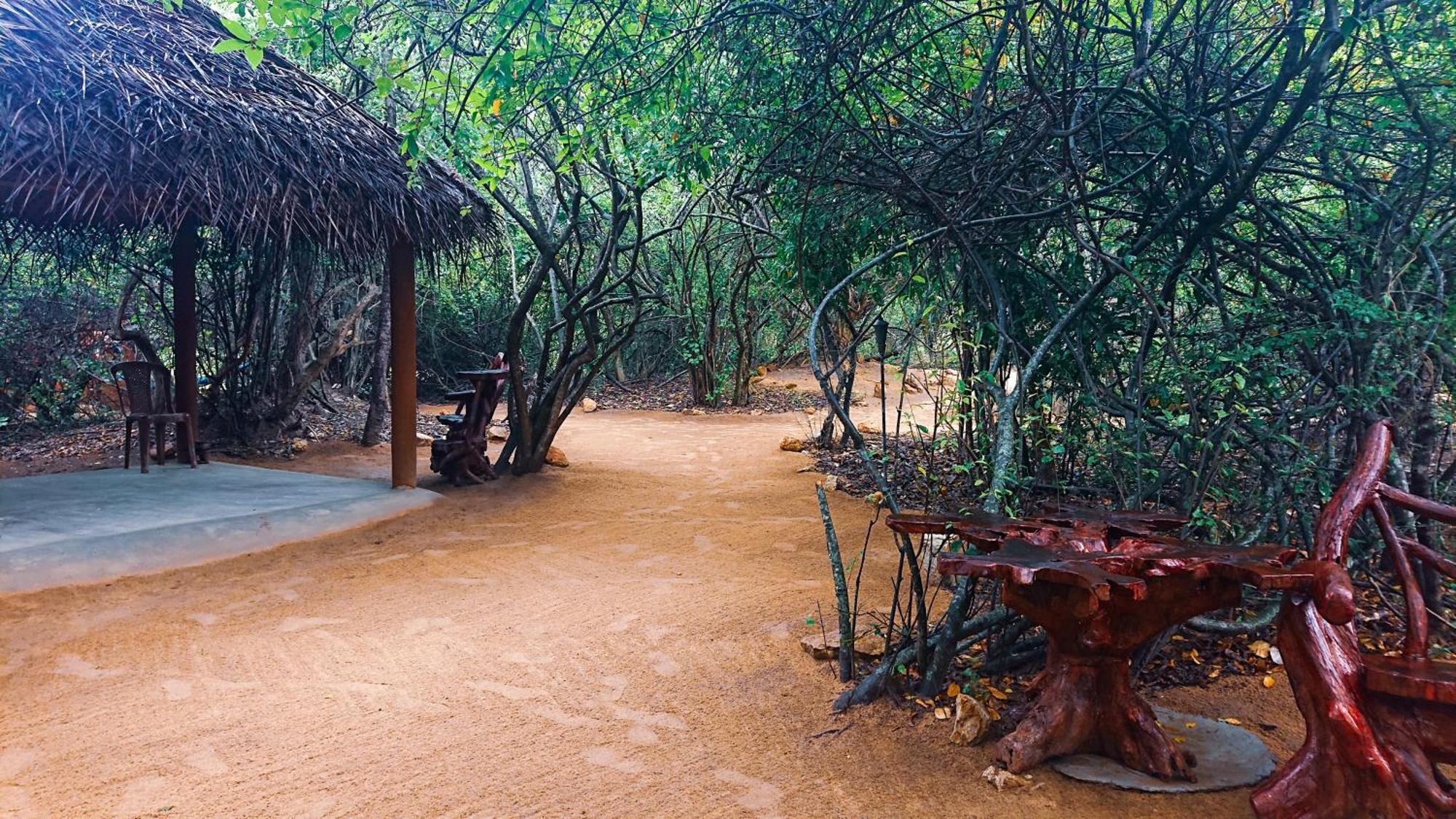 Yala Eco Bush Camp Ξενοδοχείο Εξωτερικό φωτογραφία